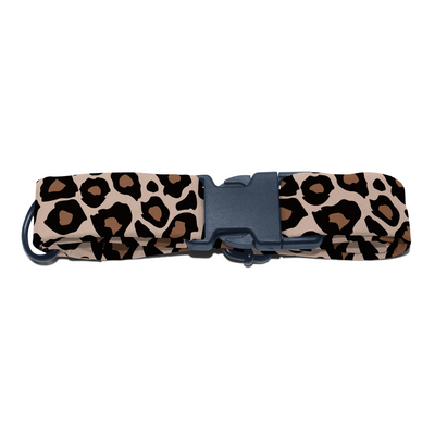 Cheetah Chic