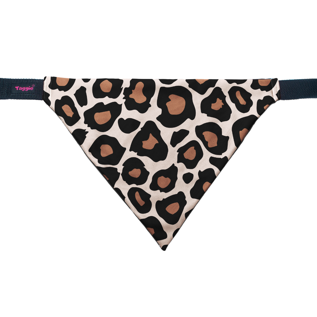 Cheetah Chic - Bandana