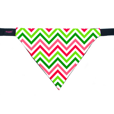 Wave of Colour - Bandana