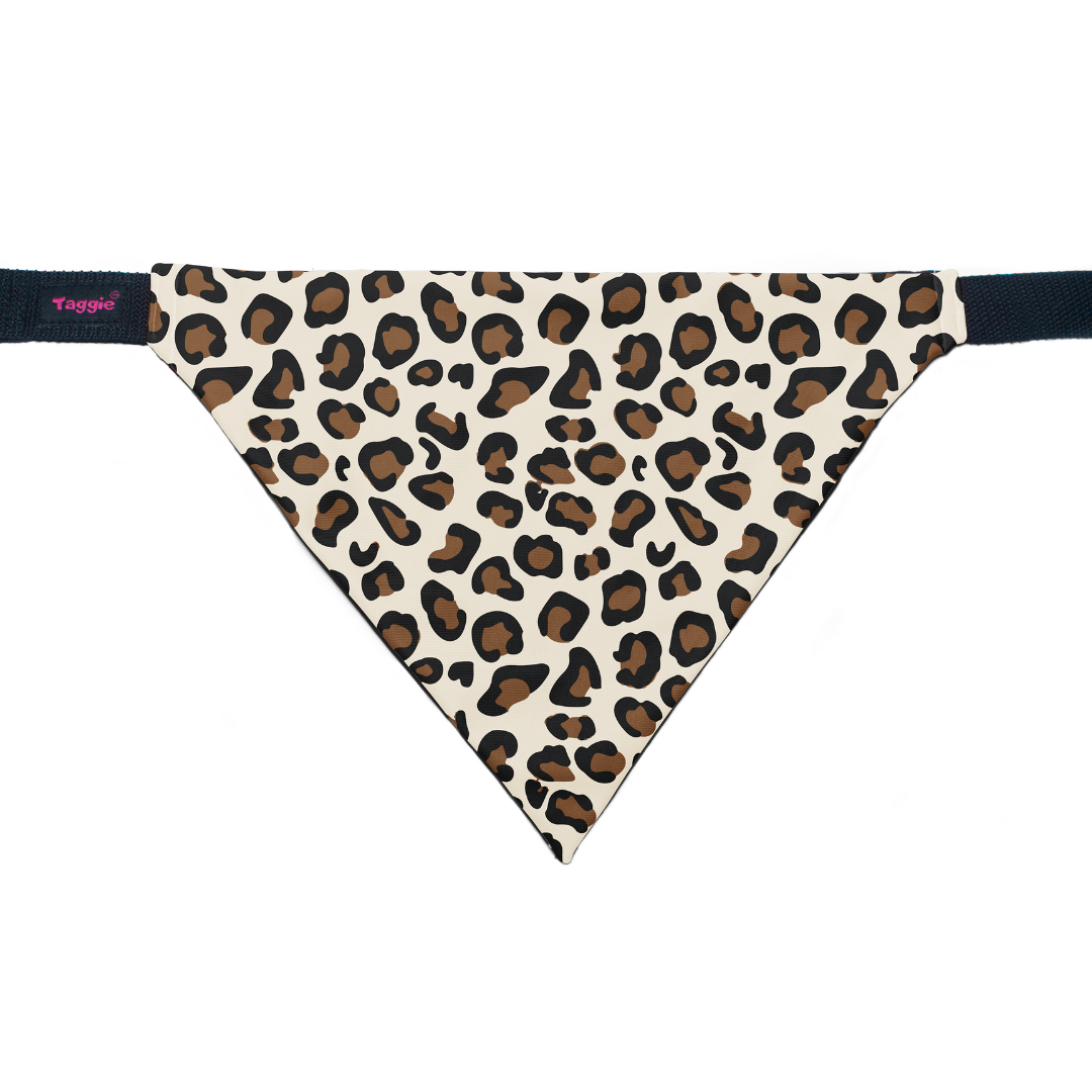 Wild & Witty - Bandana