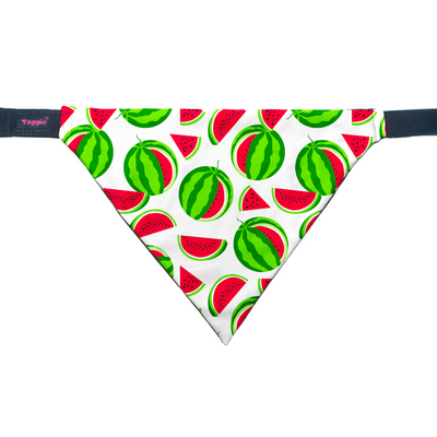 Melon Mingle - Bandana
