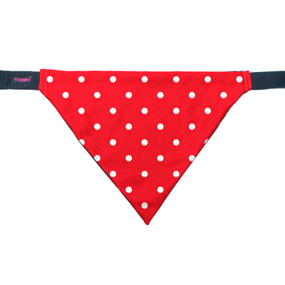 Red & Radiant - Bandana