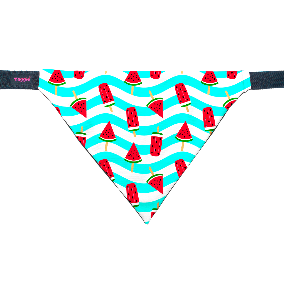 Slice of Summer - Bandana