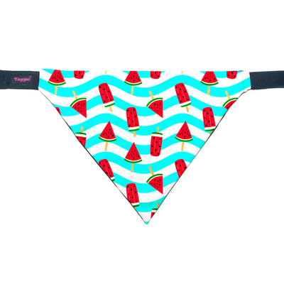 Slice of Summer - Bandana