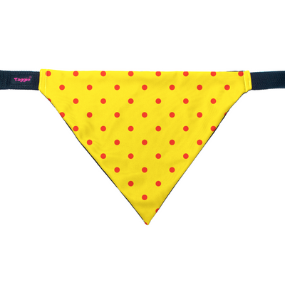 Sun Kissed Spots - Bandana