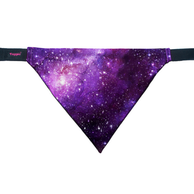 Cosmic Chronicles - Bandana