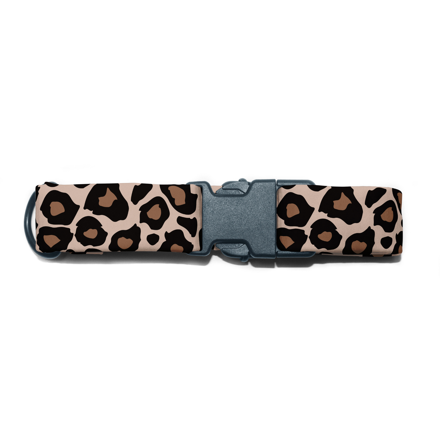 Cheetah Chic