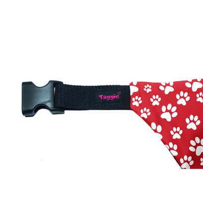 Fido's Favourite - Bandana