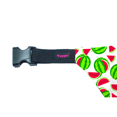 Melon Mingle - Bandana