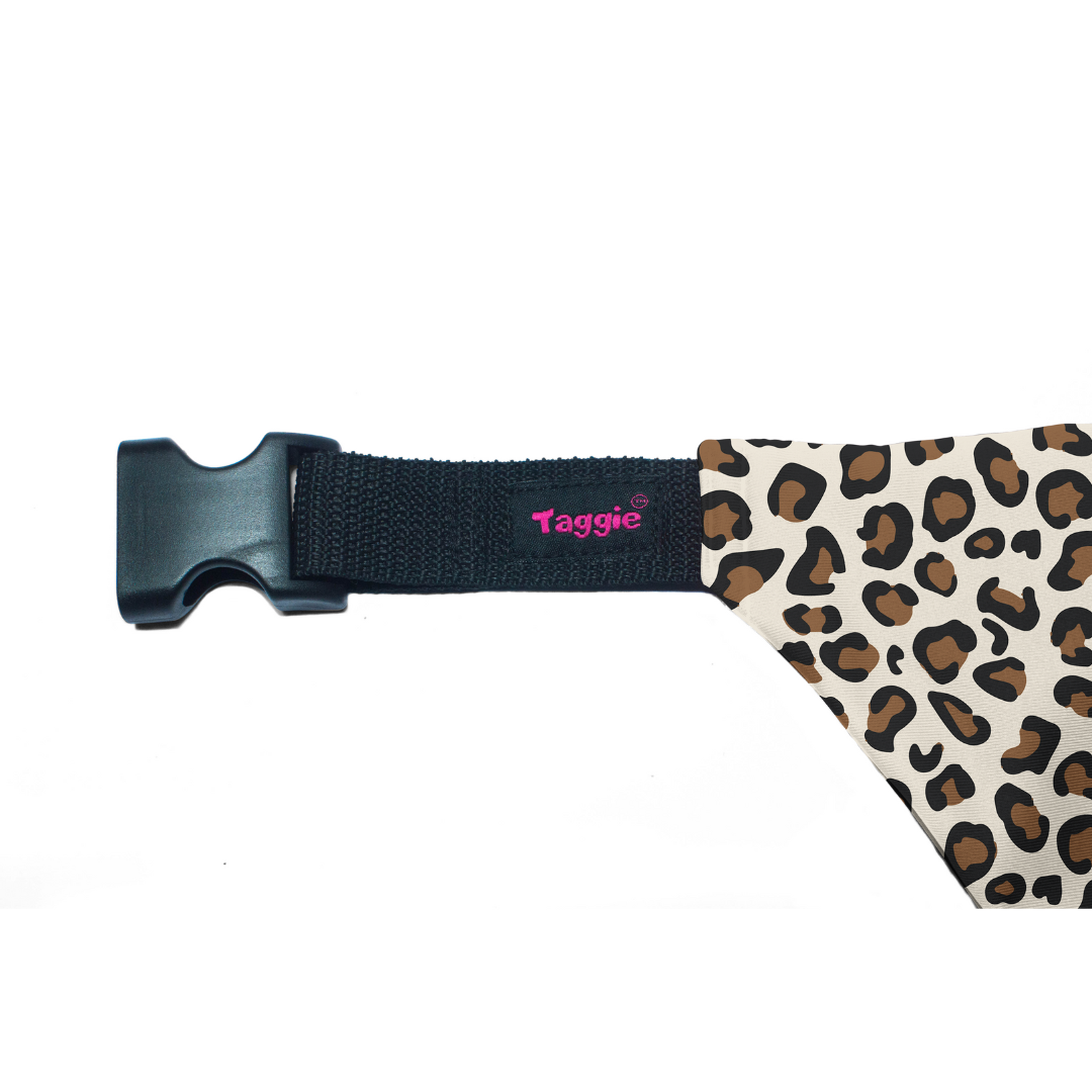 Wild & Witty - Bandana