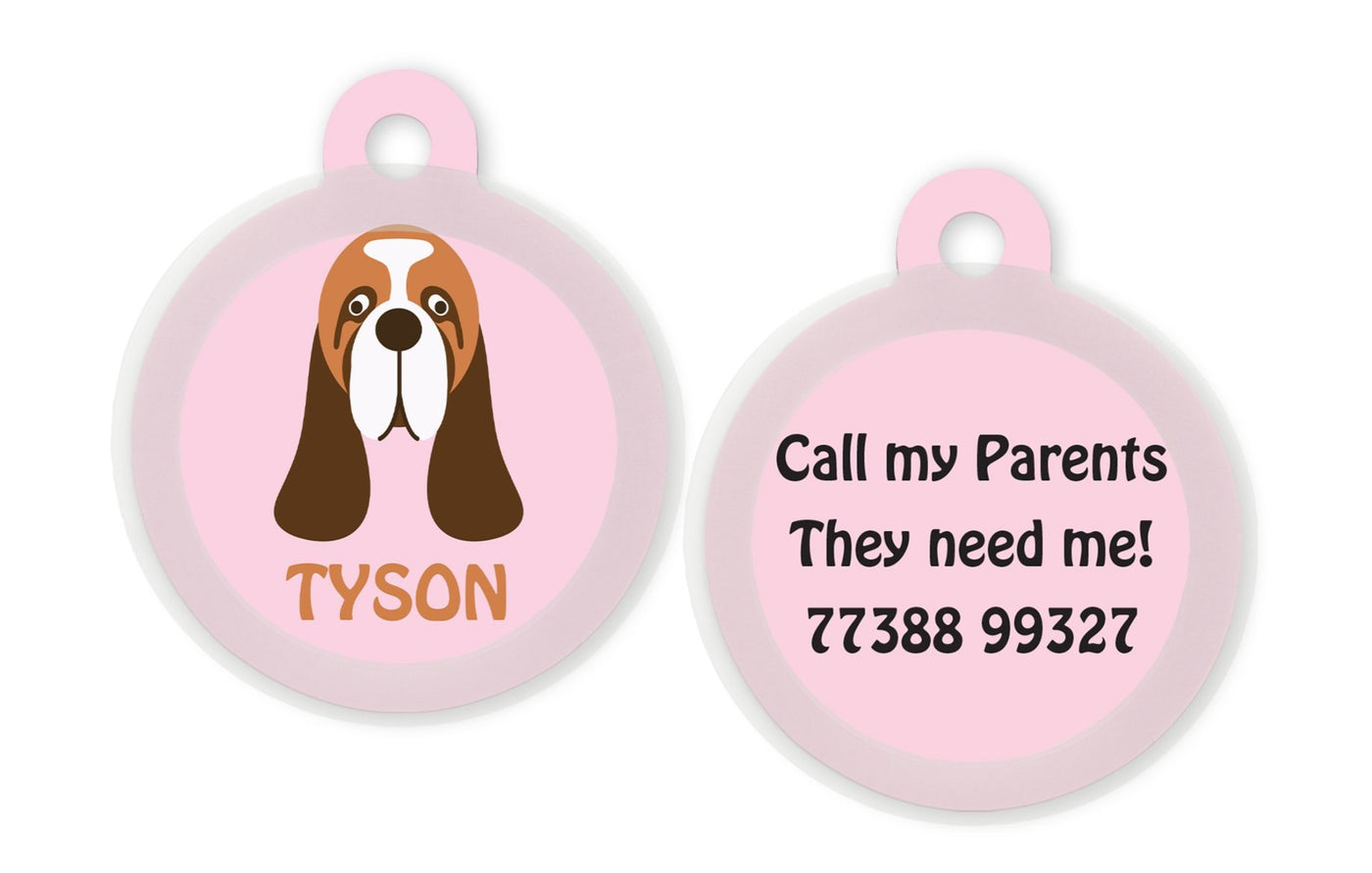 Basset Hound