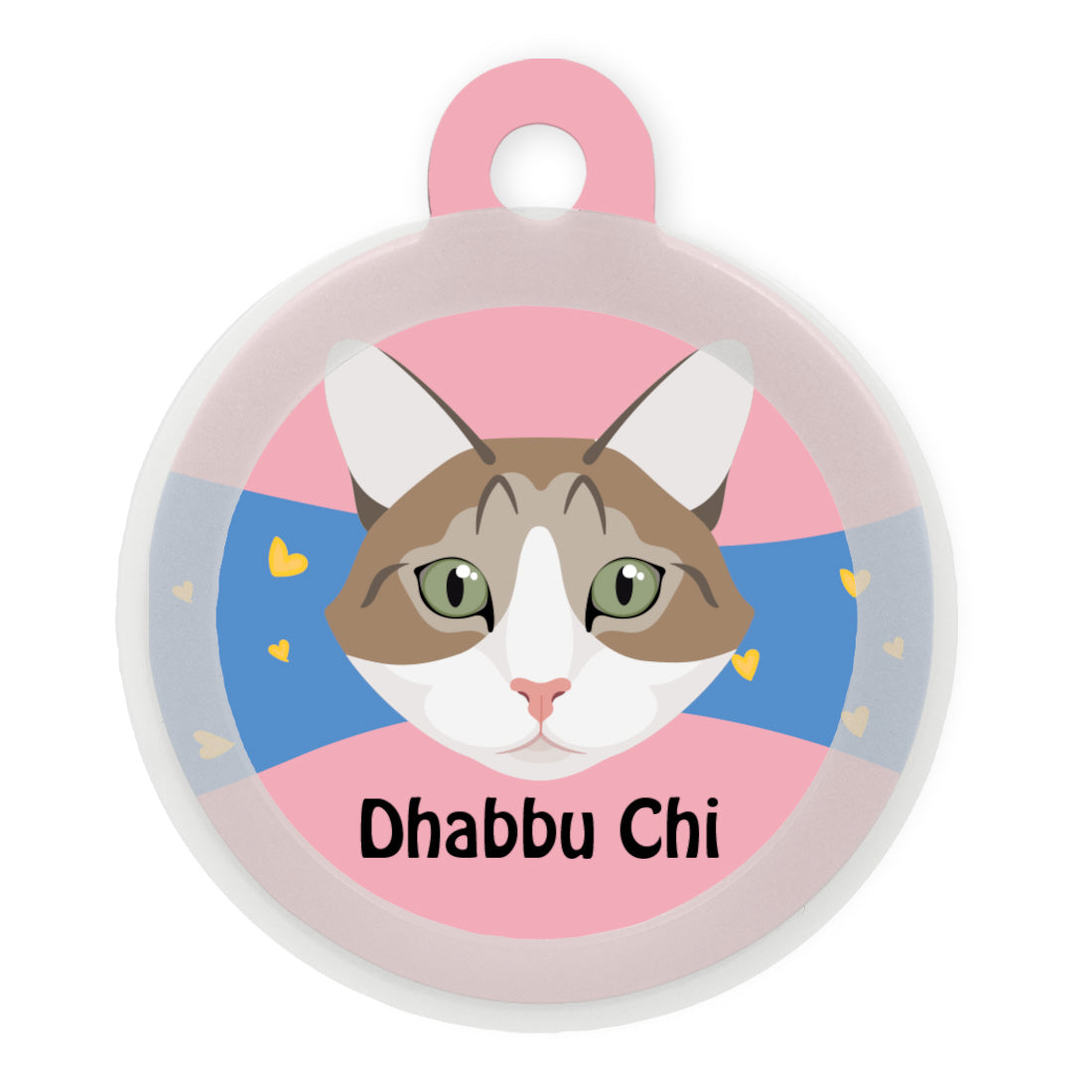 Cat Indie Grey