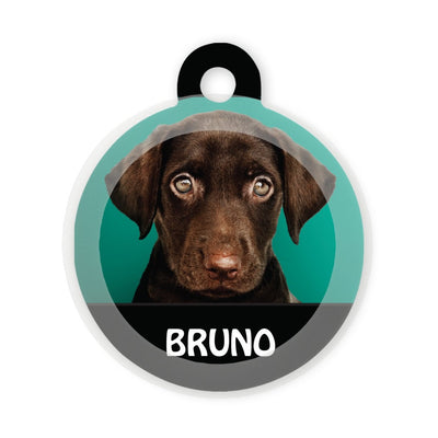 Your Design / Pet Picture
