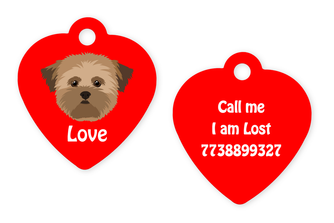 Lhasa Apso Brown
