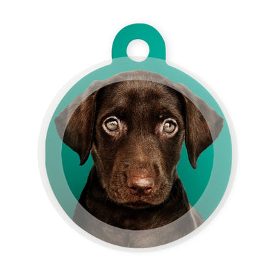 Your Design / Pet Picture