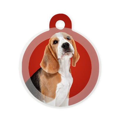 Your Design / Pet Picture
