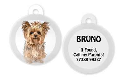 Your Design / Pet Picture