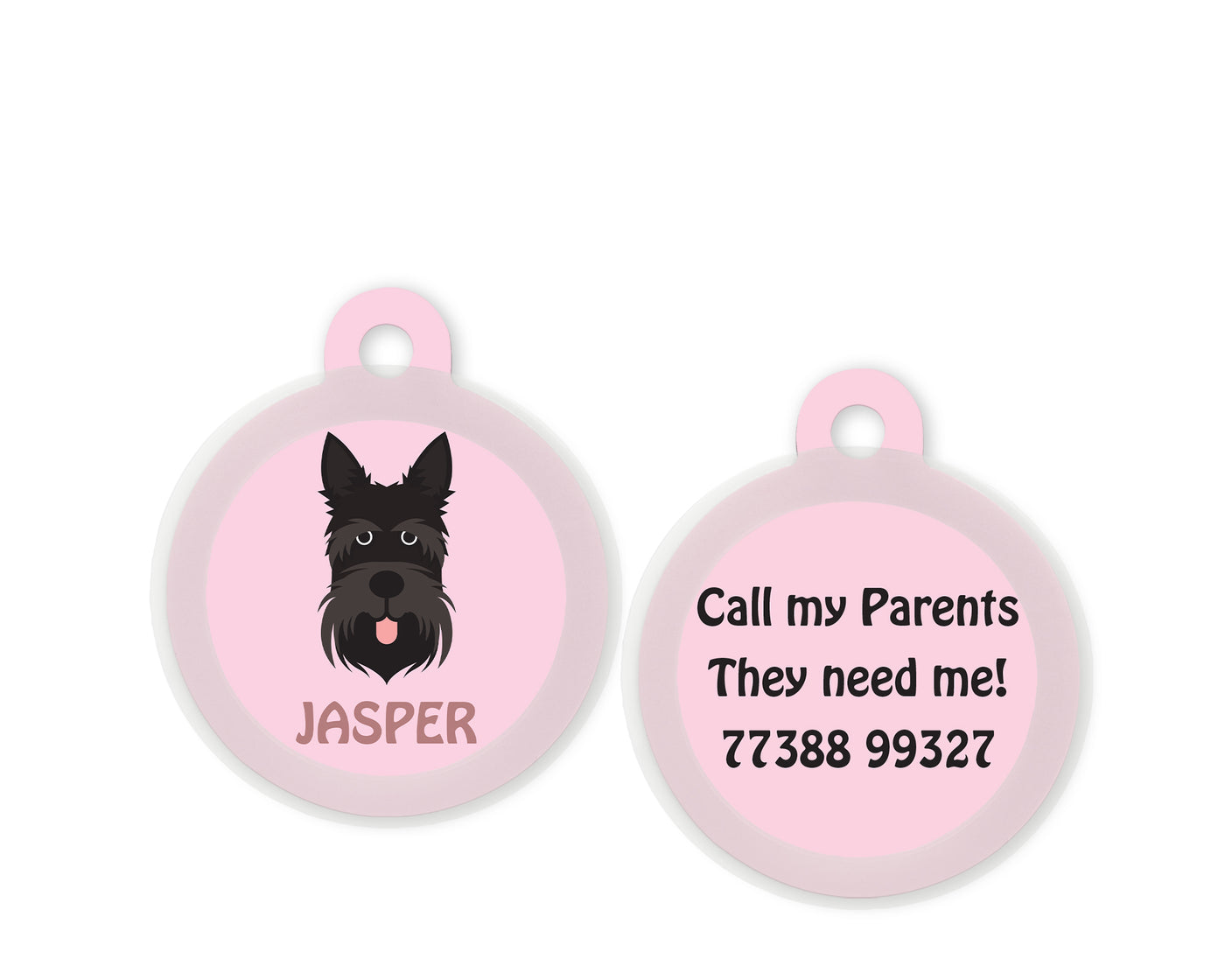 Scottish Terrier