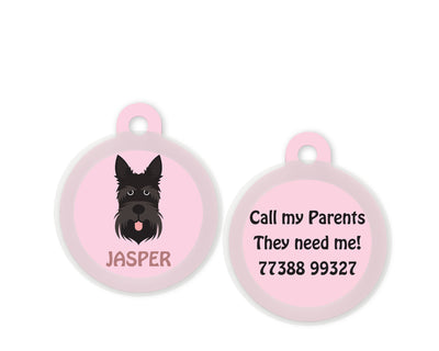 Scottish Terrier