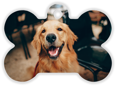 Your Design / Dog Picture [B]