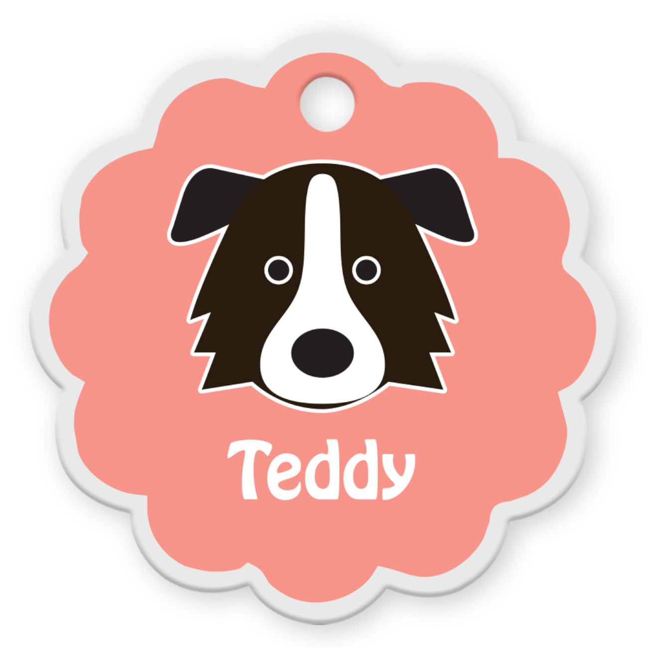 Border Collie [F]