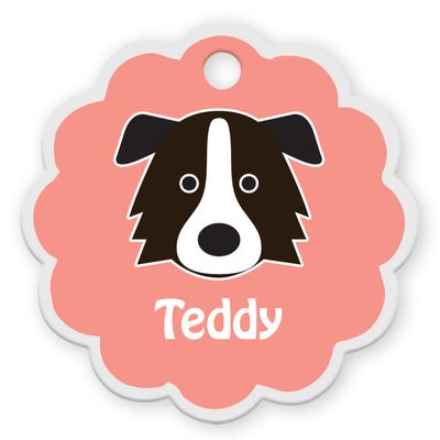 Border Collie [F]