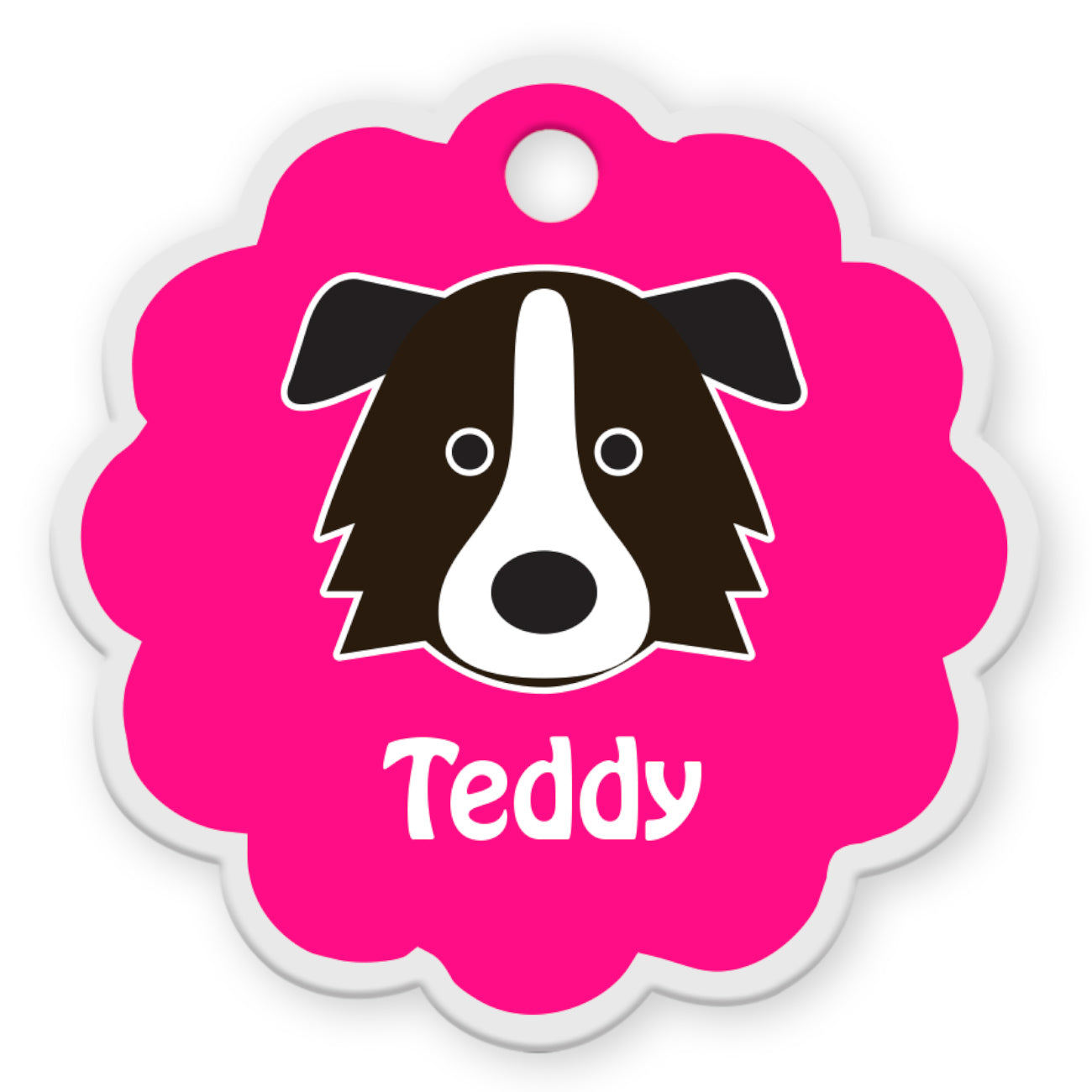 Border Collie [F]