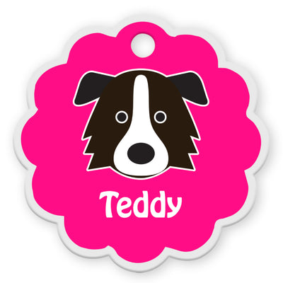 Border Collie [F]