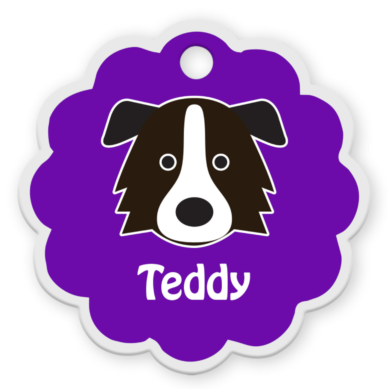 Border Collie [F]