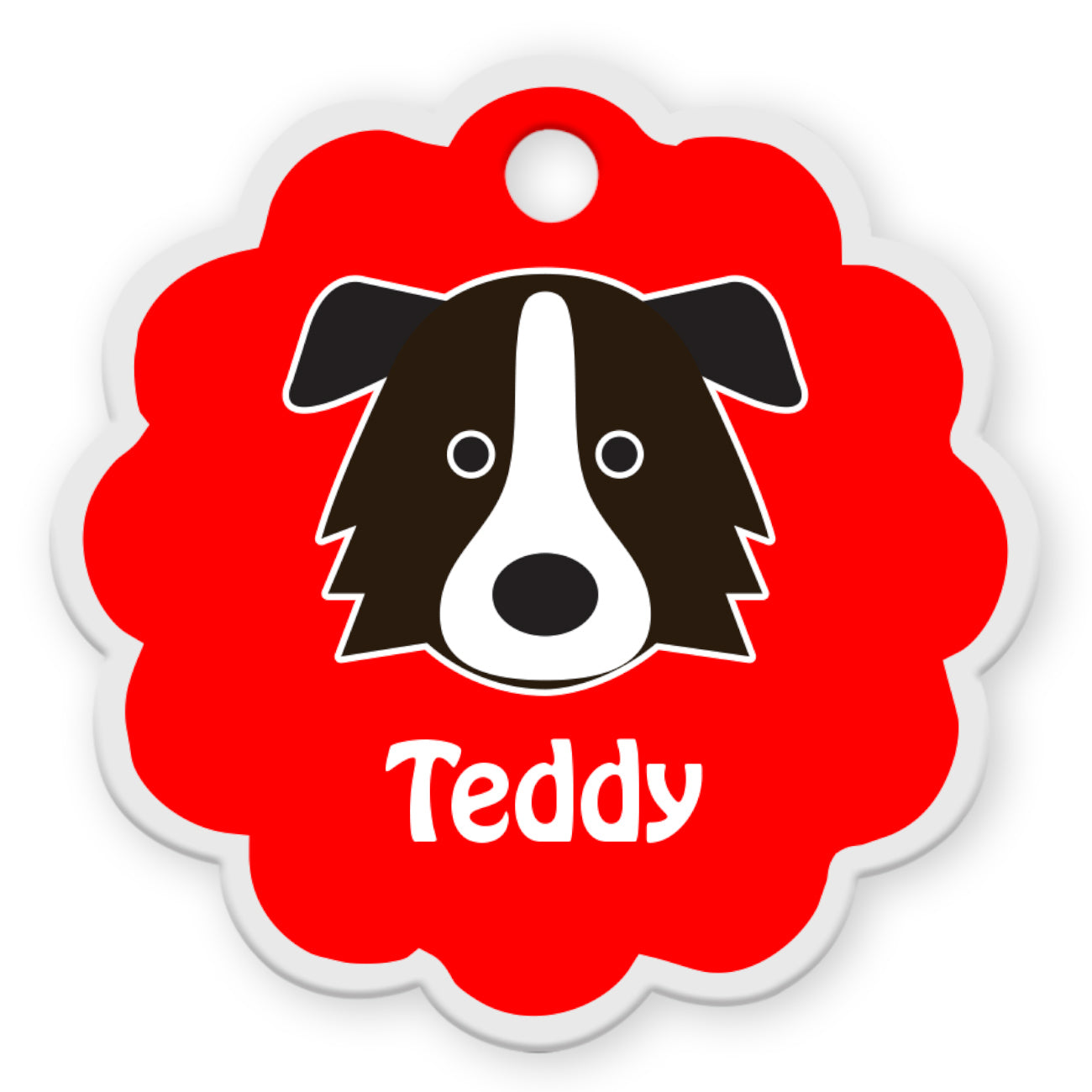Border Collie [F]