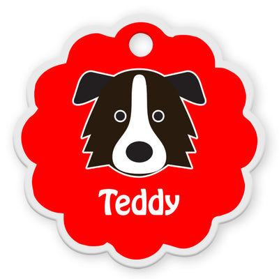 Border Collie [F]