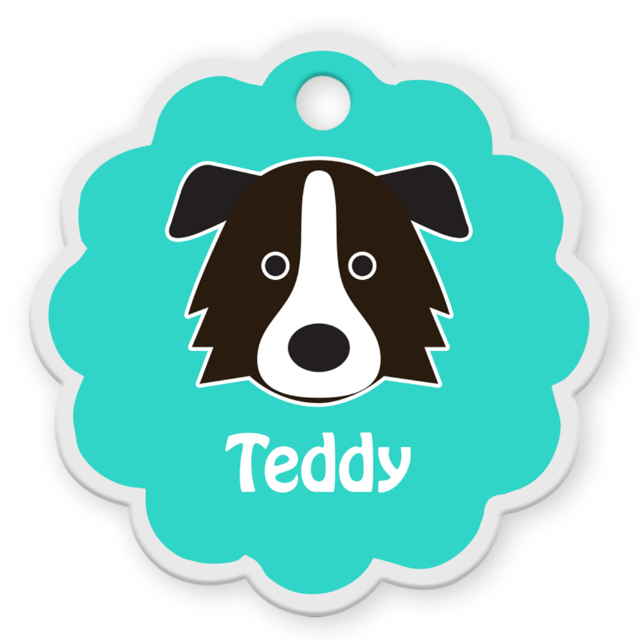 Border Collie [F]