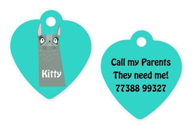 Cat Turquoise (H)
