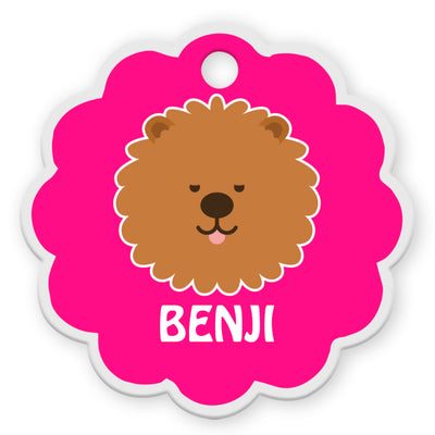 Chow Chow [F]