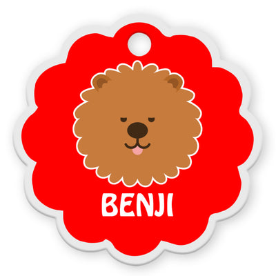 Chow Chow [F]