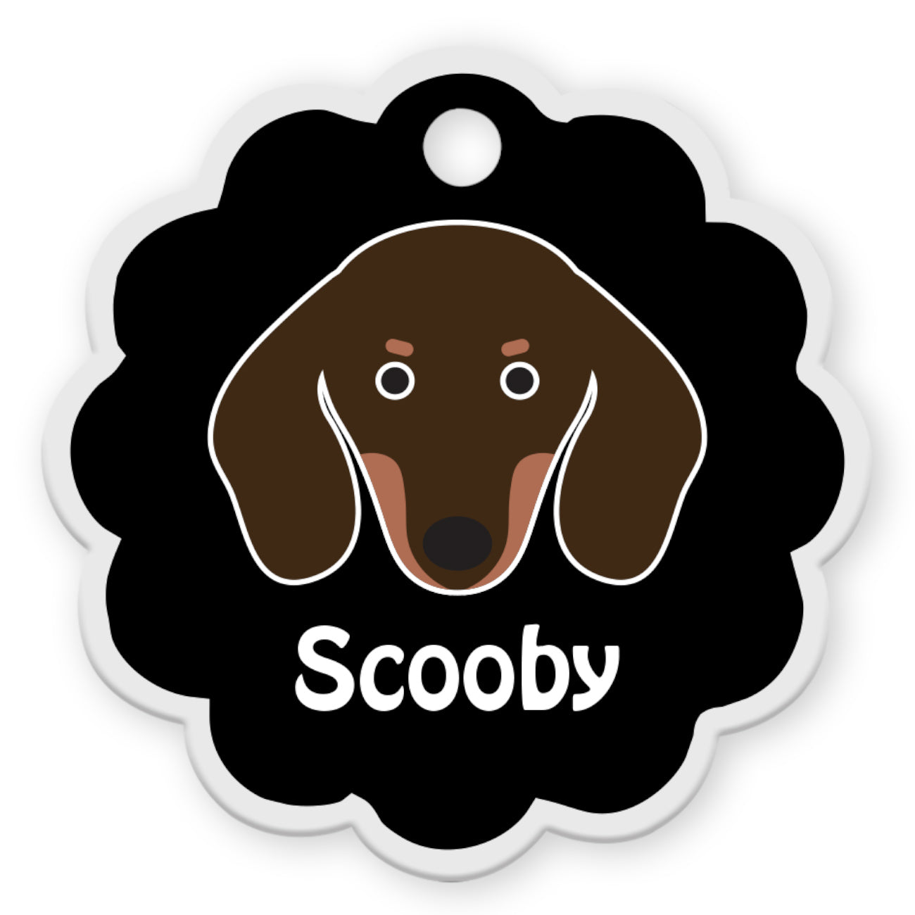 Dachshund [F]