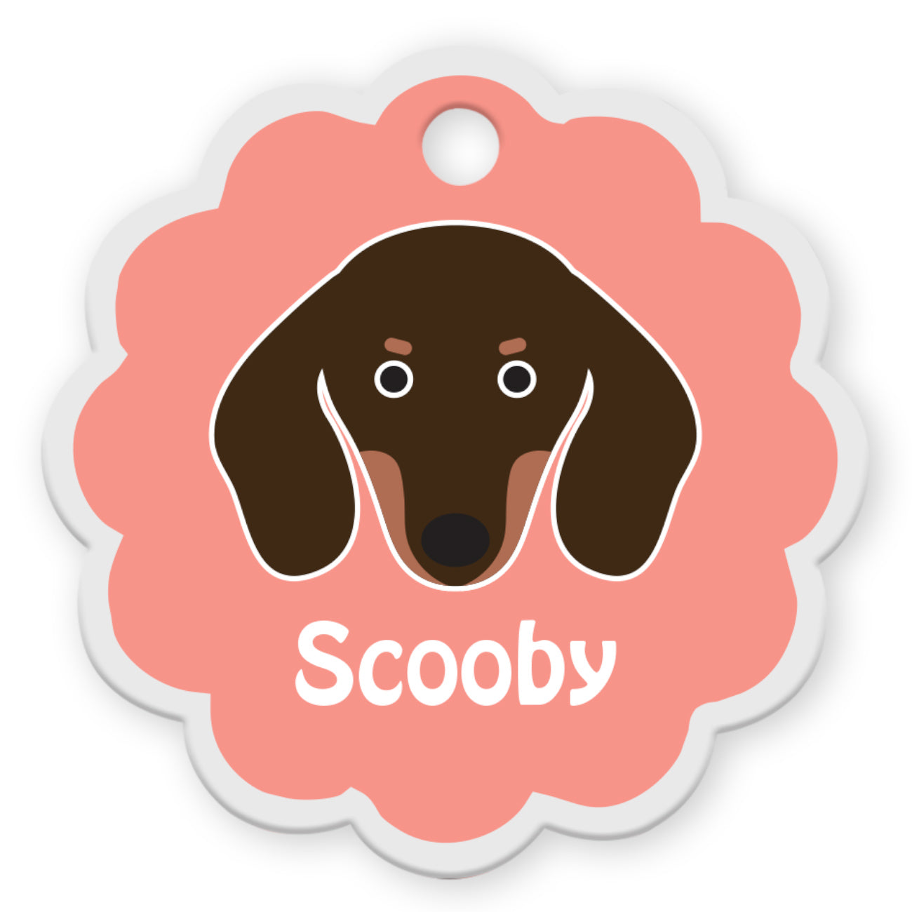 Dachshund [F]