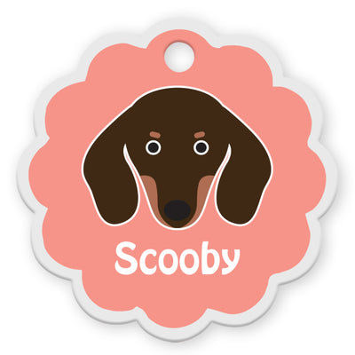Dachshund [F]