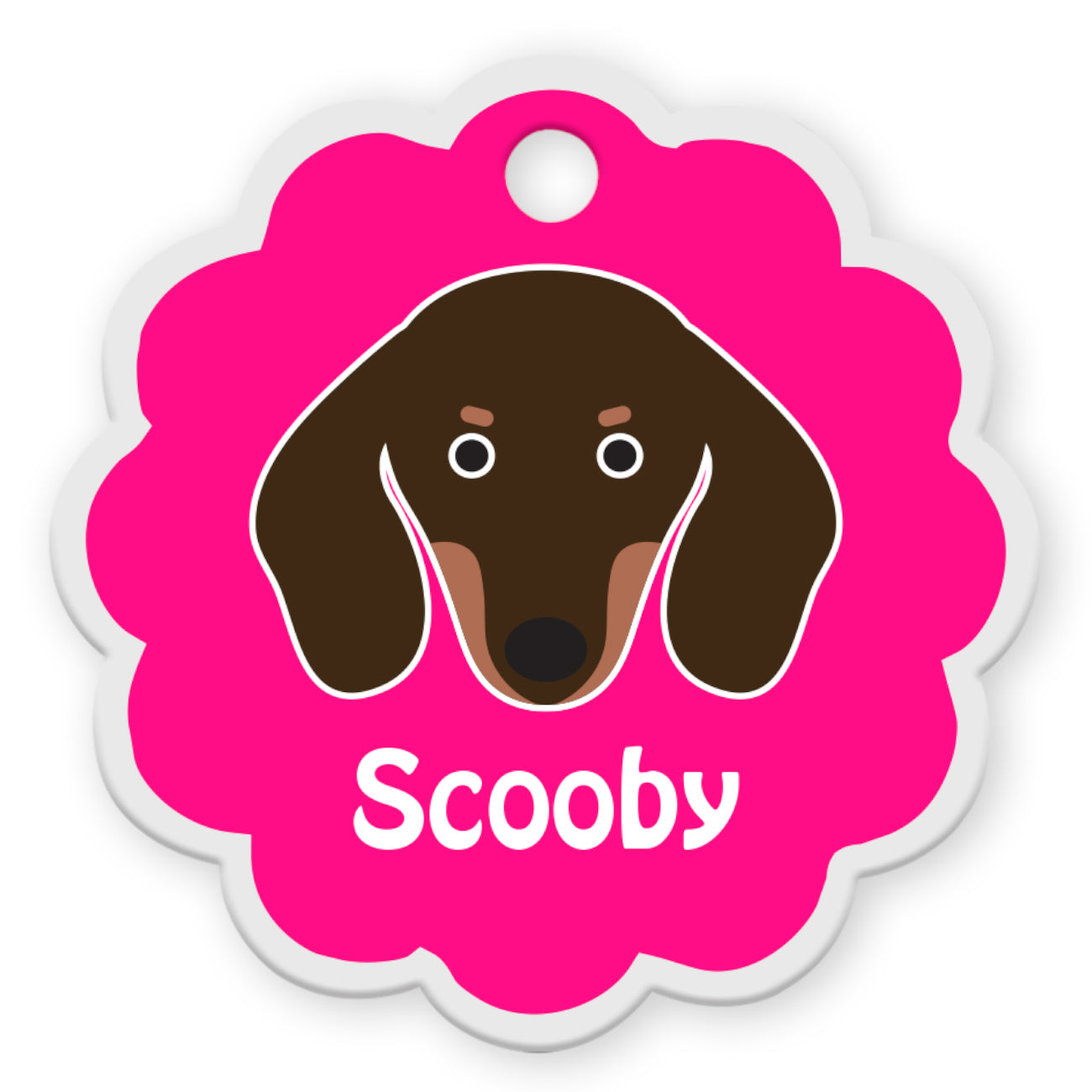 Dachshund [F]