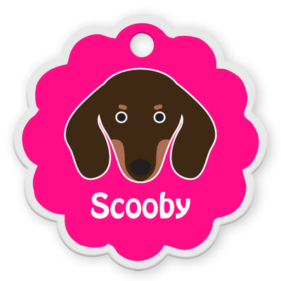 Dachshund [F]