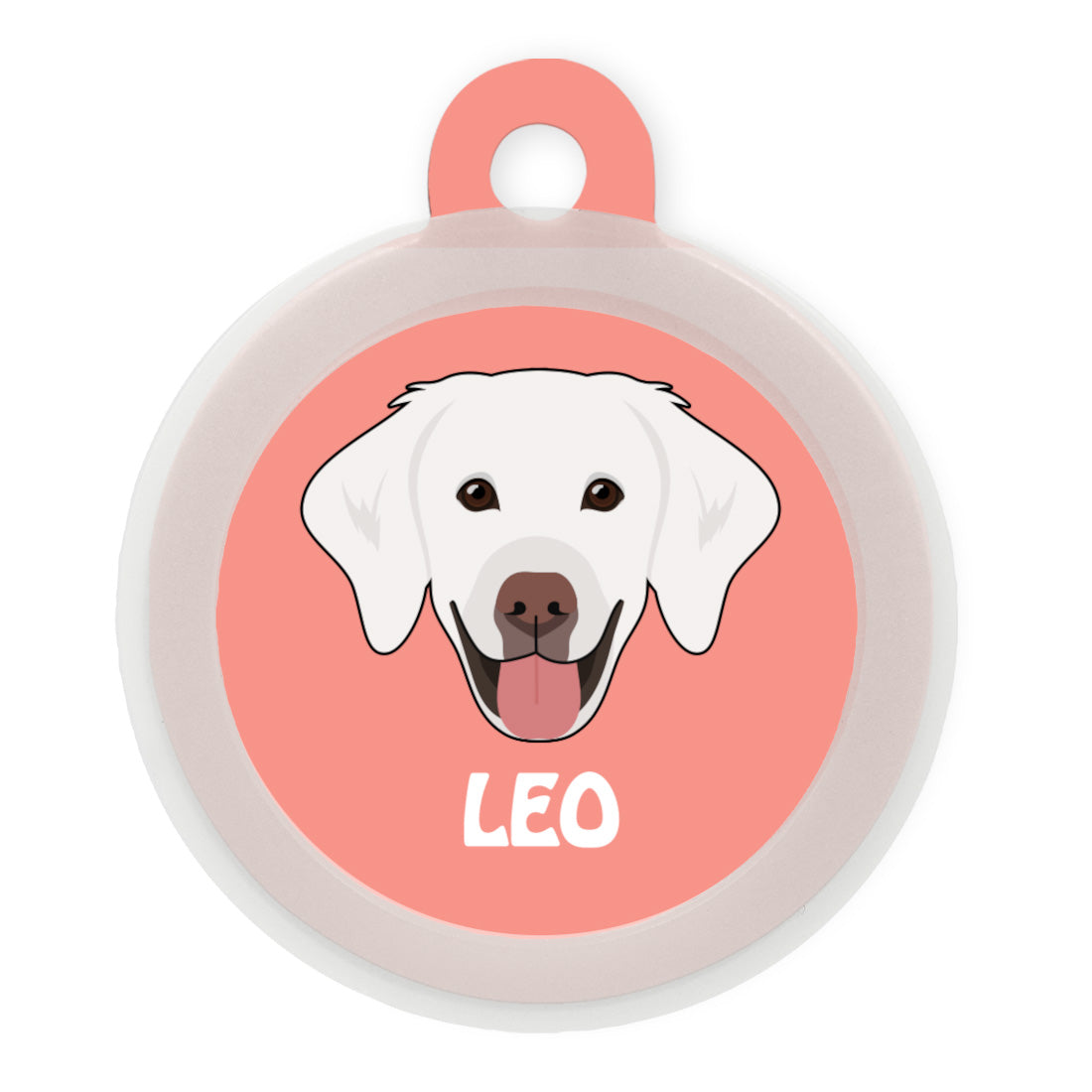 Golden Retriever [White]