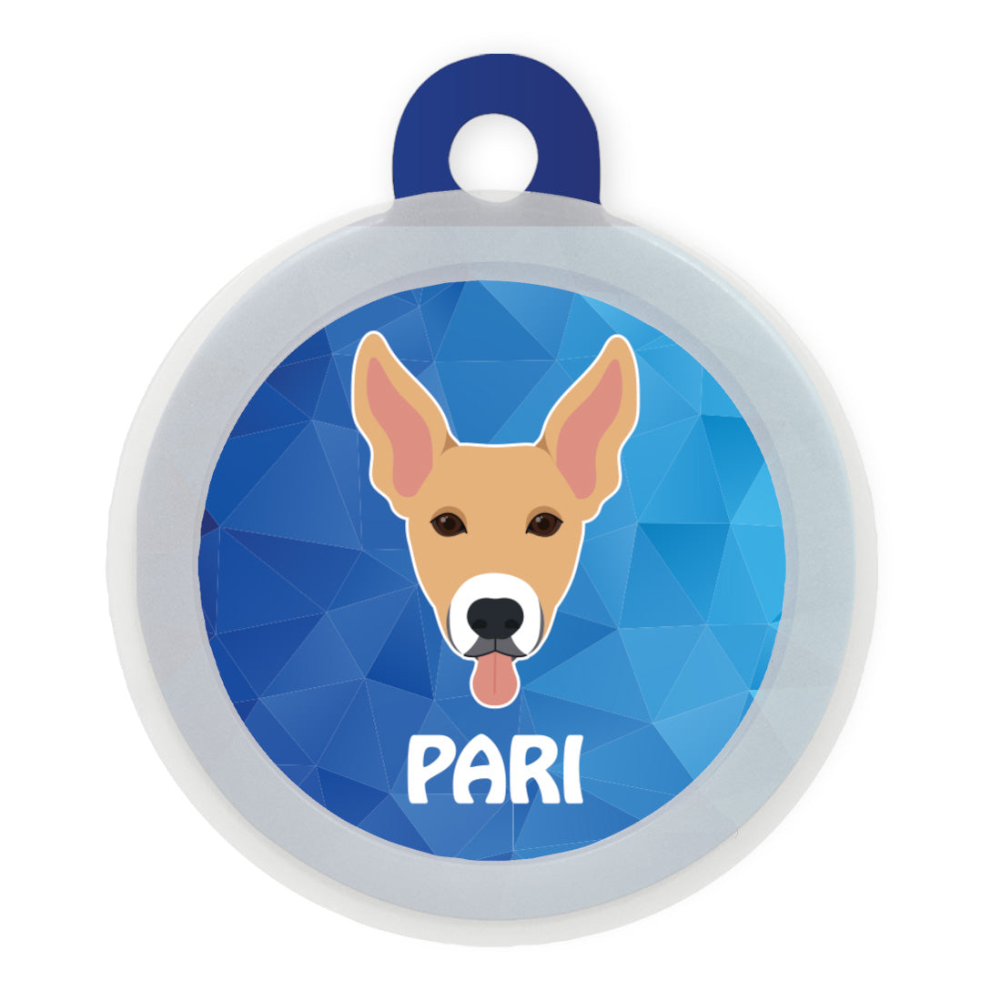 Indie BR (ears up)