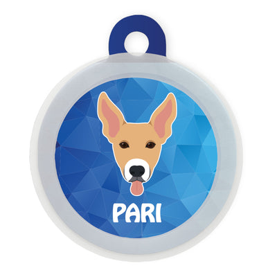 Indie BR (ears up)