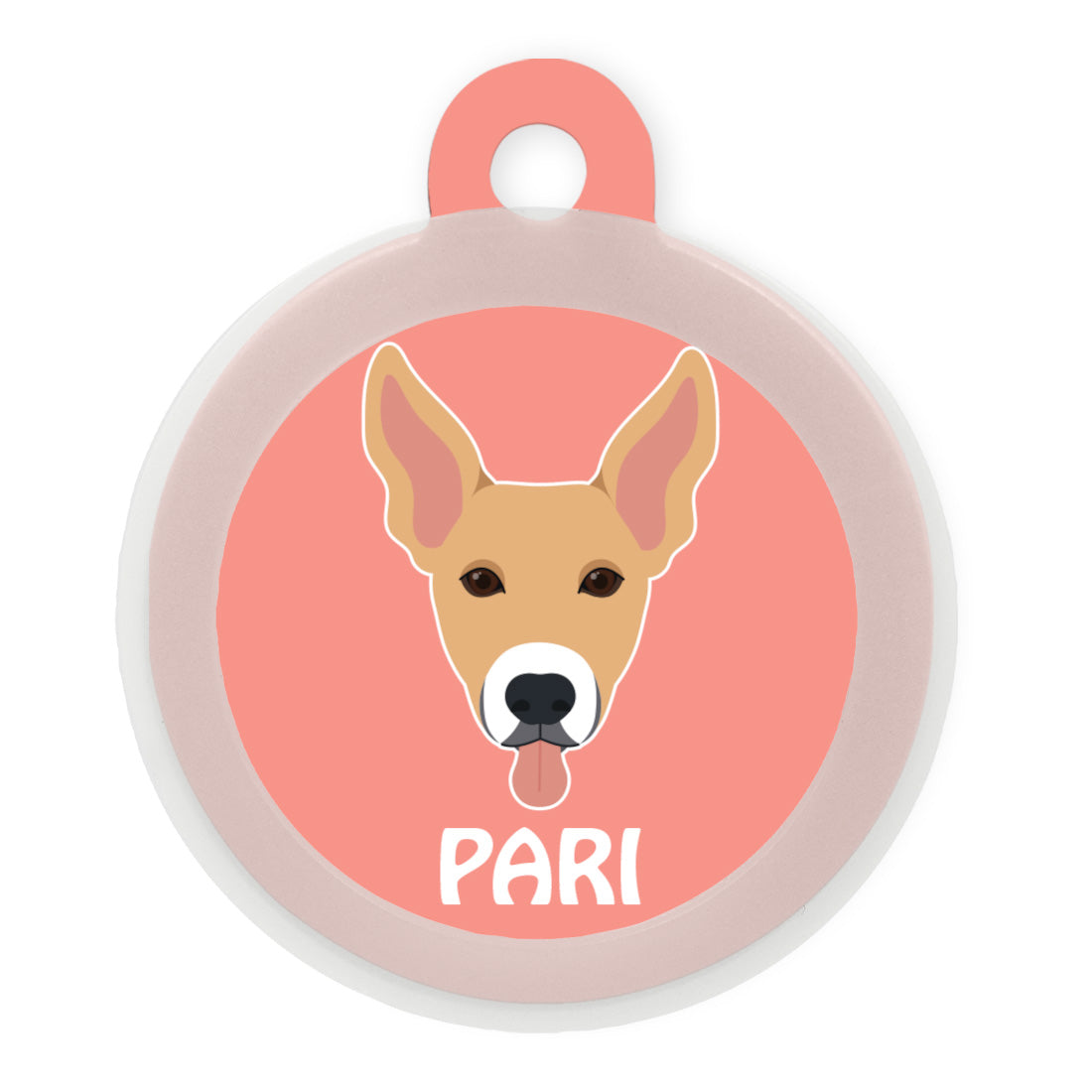 Indie BR (ears up)