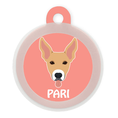 Indie BR (ears up)