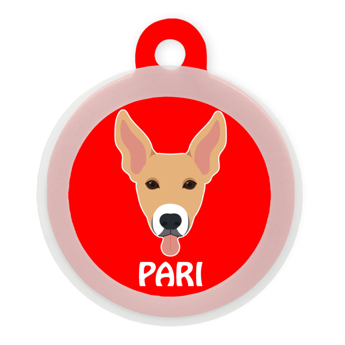 Indie BR (ears up)