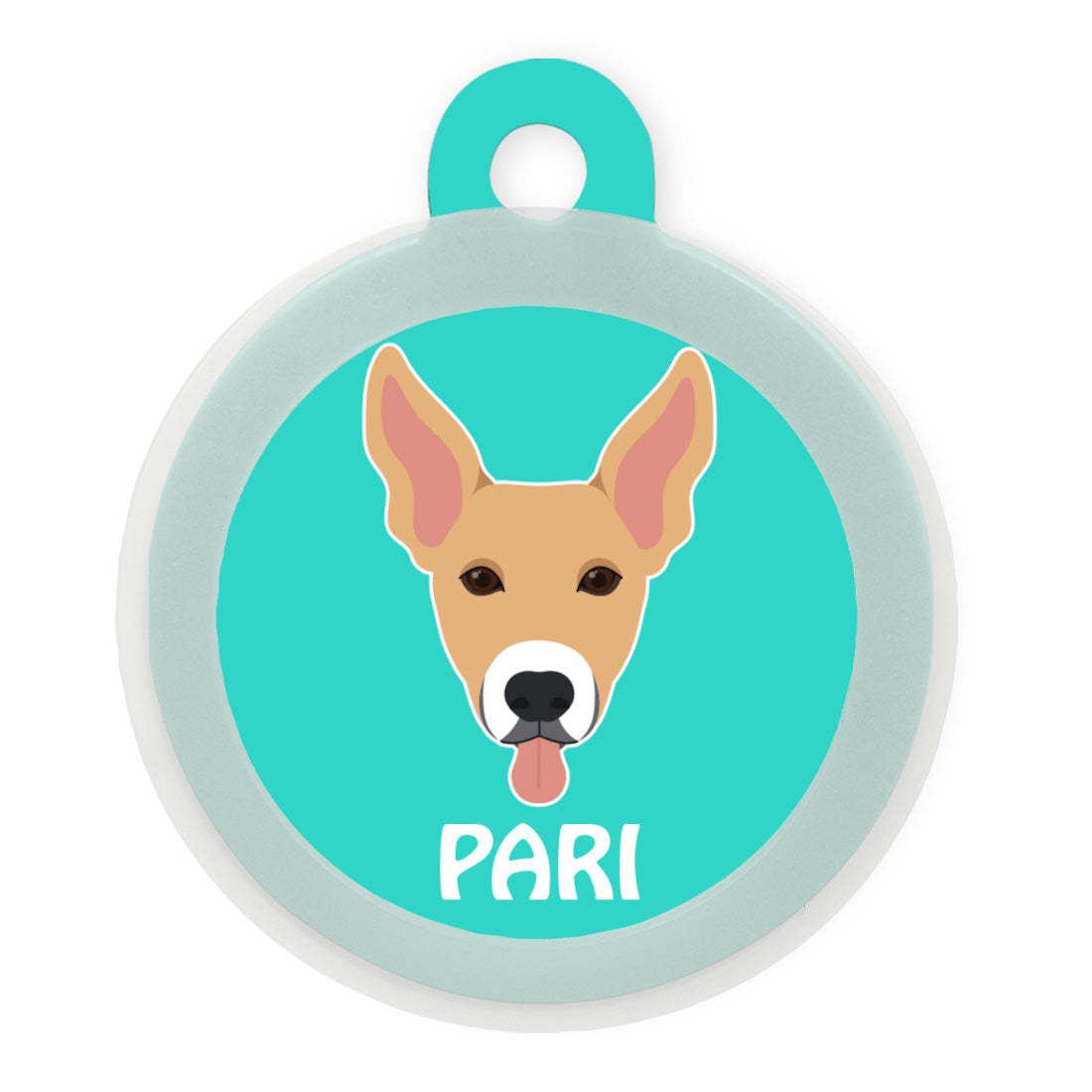 Indie BR (ears up)
