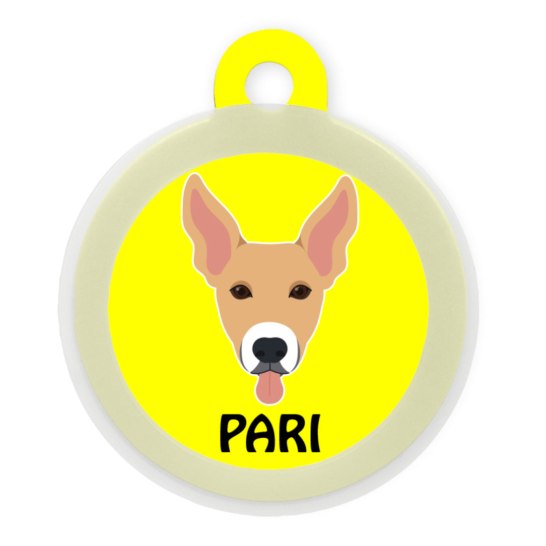 Indie BR (ears up)