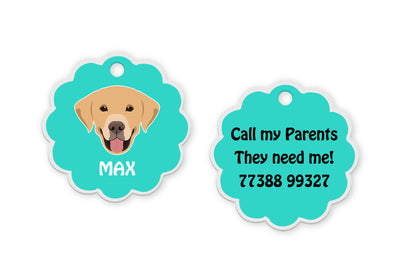 Labrador White/Brown [F]