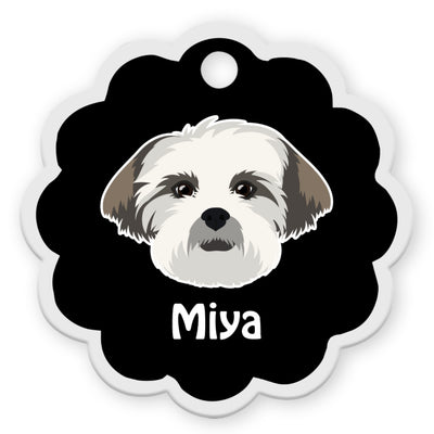 Lhasa Apso [F]